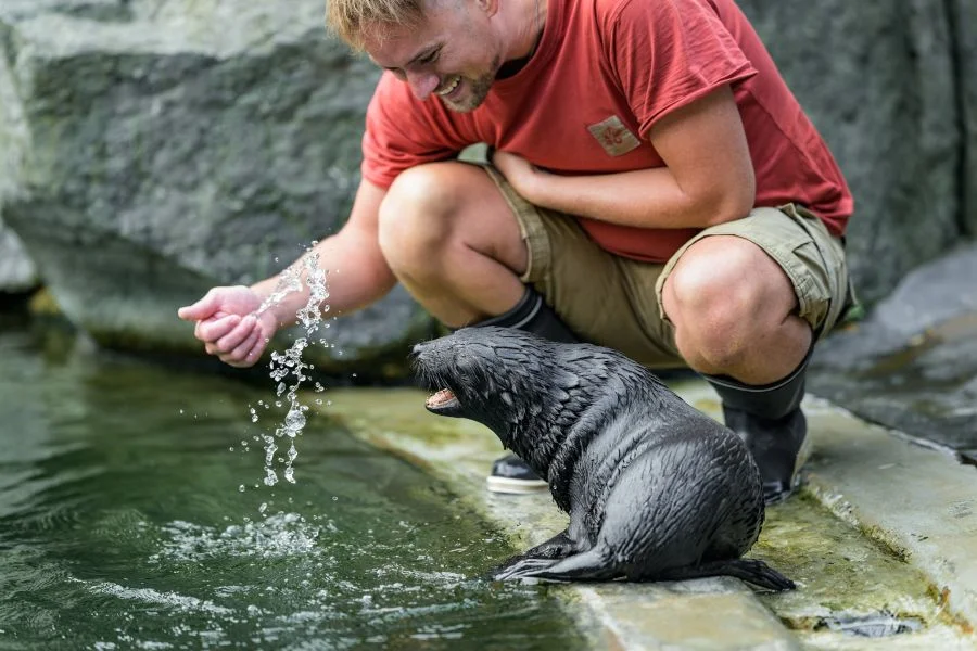 A keeper playing with Jabulani at the water's edge